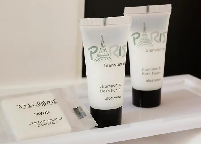 Hotel Du Mont Dore Batignolles 3*